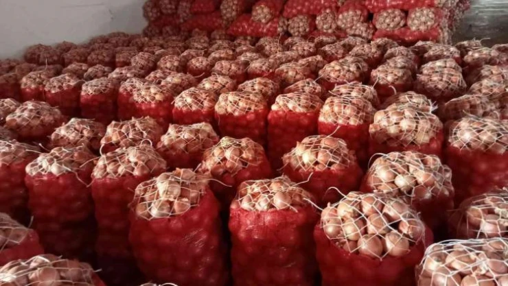Nisan ayında en çok kuru soğan pahalandı