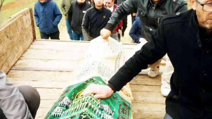 Orman kesimi sırasında öldürülen Bayam toprağa verildi