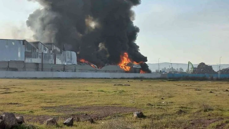 Osmaniye'de geri dönüşüm fabrikasında yangın