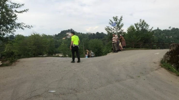 Otomobil çay bahçesine devrildi: 1 yaralı