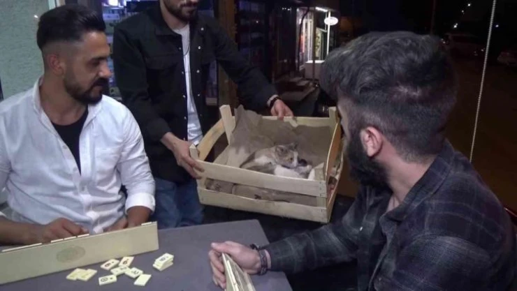 (Özel) Yok böyle bir olay...Okey masasında doğum