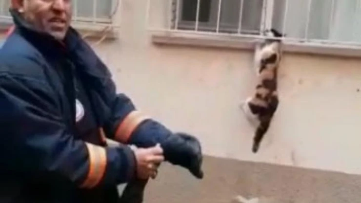 Pencere korkuluğuna sıkışan kediyi itfaiye kurtardı