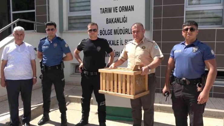 Polis, annesiz kalan iki yavru kargaya sahip çıktı