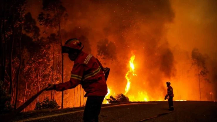 Portekiz'de 14 noktada orman yangını