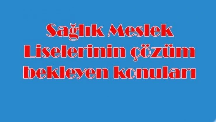 Sağlık Meslek Liselerinin geleceği karanlık mı?