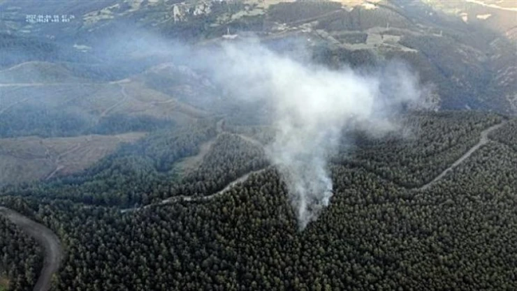 Sakarya'da orman yangını büyümeden söndürüldü