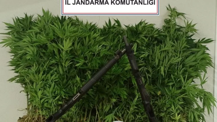 Sakarya'da uyuşturucu operasyonu: 2 gözaltı