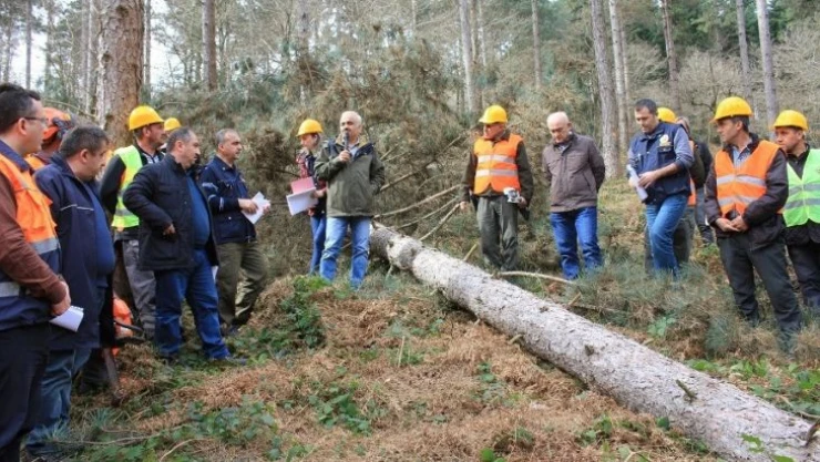 Sakarya Orman Bölge Müdürlüğü 2021'de hedefine yüzde 100 ulaştı