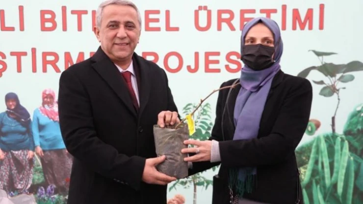 Samsun'da kivi üretiminde hedef 4 yılda 1. sıraya yerleşmek