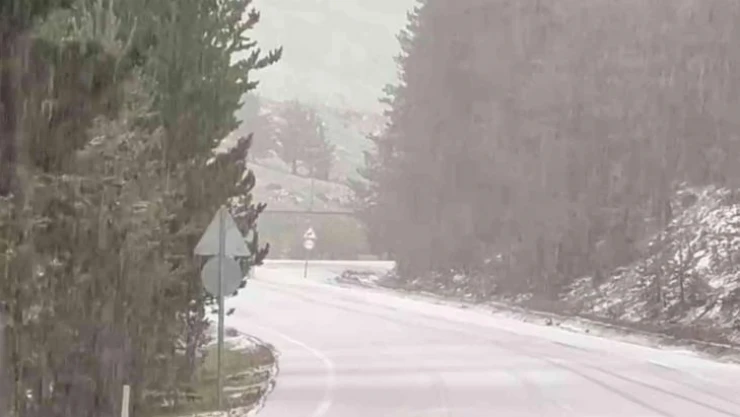 Sarıkamış'ta dolu hayatı olumsuz etkiledi