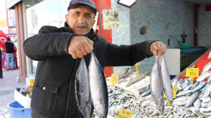 Sezonun son balıkları 15-30 TL arasında tezgahlarda