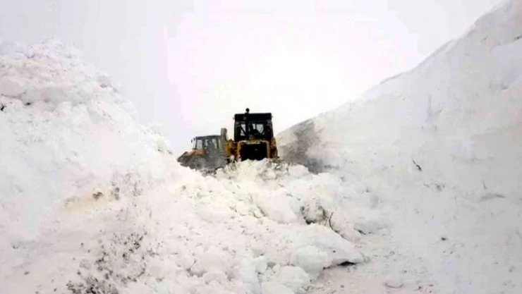 Siirt'te kar yağışı nedeniyle 53 köy yolu ulaşıma kapandı