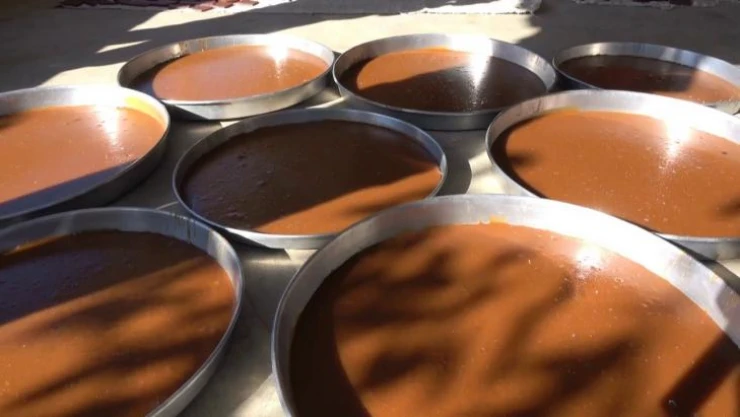 Siirt'te pekmez ve pestil telaşı başladı