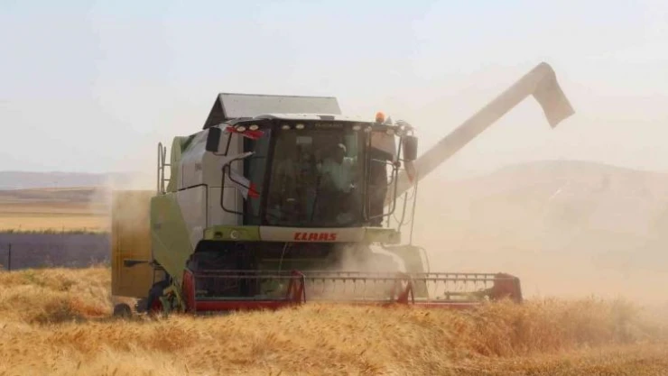 Siirt'te son 20 yılın en bereketli hasadı yaşandı