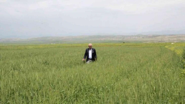 Siirtli çiftçiler rekor düzeyde ürün bekliyor