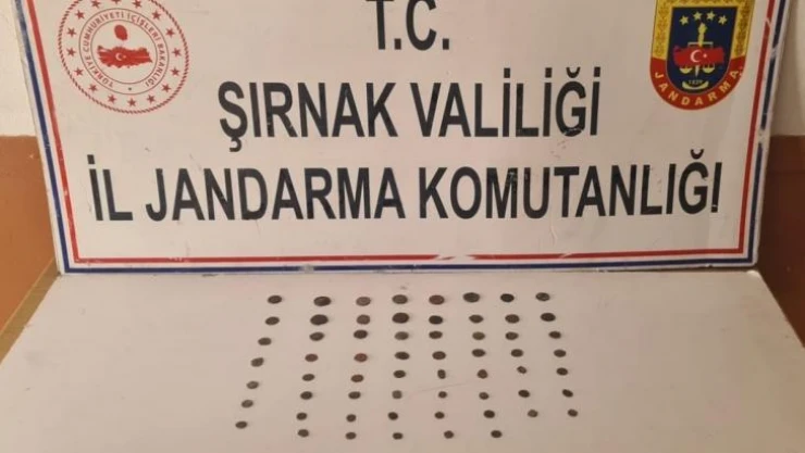 Şırnak'ta 65 parça tarihi obje ele geçirildi