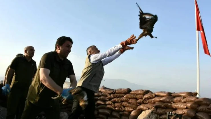 Şırnak'ta tedavisi tamamlanan kuşlar doğaya bırakıldı