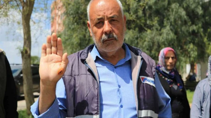 Sokak köpekleri mahallelinin kabusu oldu