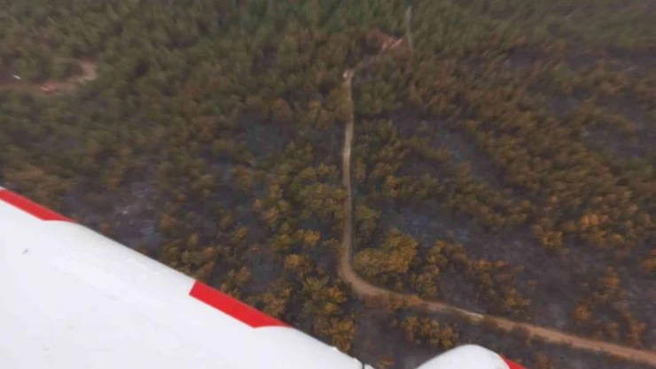 Soma'daki orman yangınının etrafı çevrildi