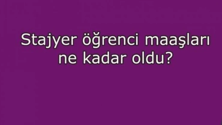 Stajyer öğrenci maaşları 