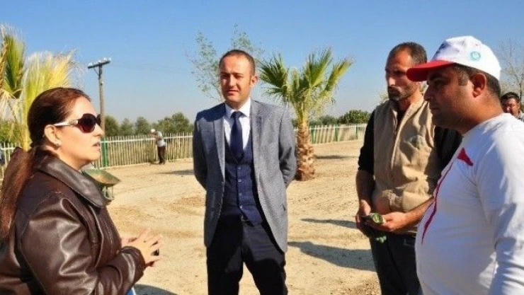 Muradiye-Menemen  Yoluna  Estetik  Dokunuş