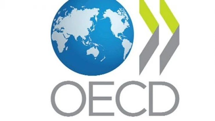 OECD açıkladı: 'En çok sigara tüketen ülkelerden biri Türkiye'