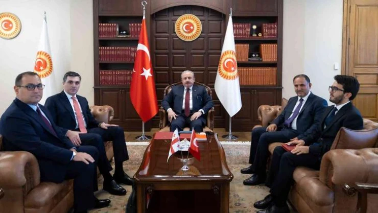 TBMM Başkanı Şentop, Gürcistan Dışişleri Bakanı Darchiashvili'yi kabul etti