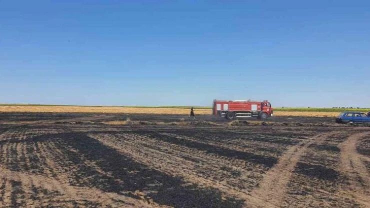 Tekirdağ'da 130 dönüm arazi kül oldu