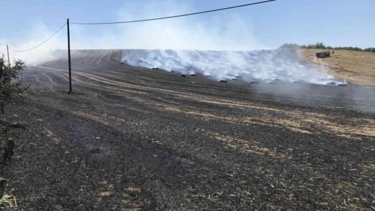 Tekirdağ'da 40 dekar tarla yandı