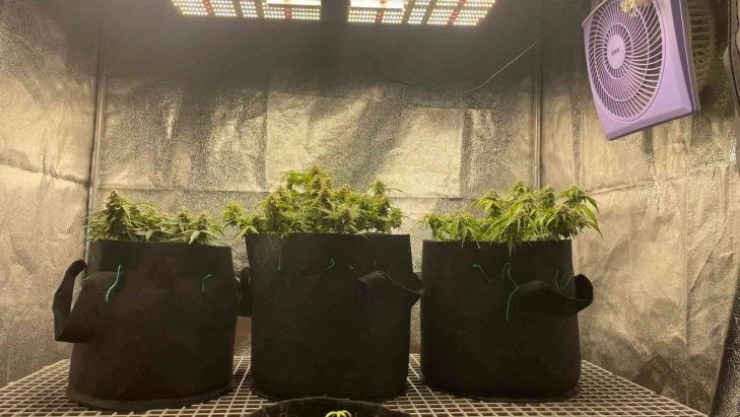 Tekirdağ'da uyuşturucu operasyonunda 23 tutuklama