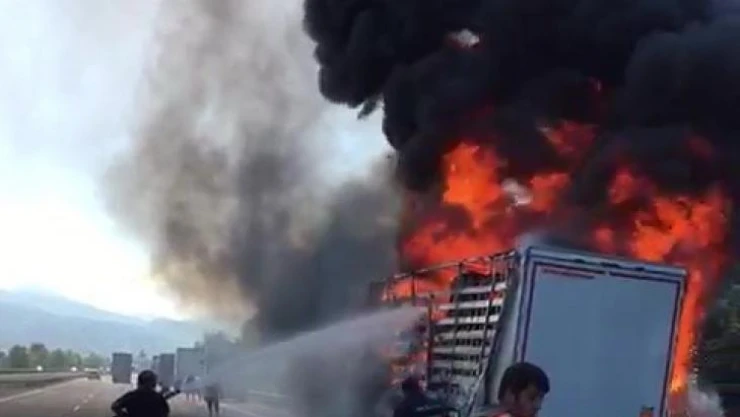 TEM'de tır alev alev yandı