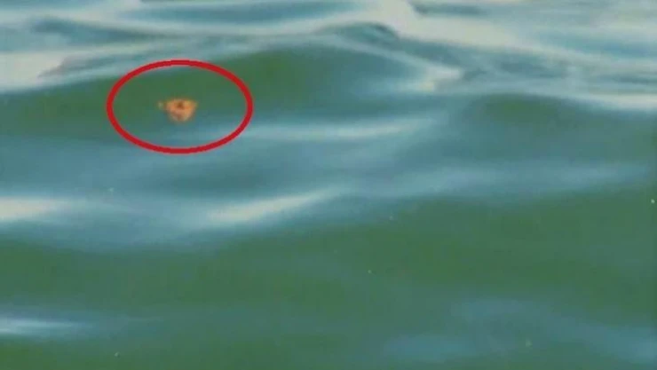 TESKİ'ye 131 bin 516 lira ceza kesildi