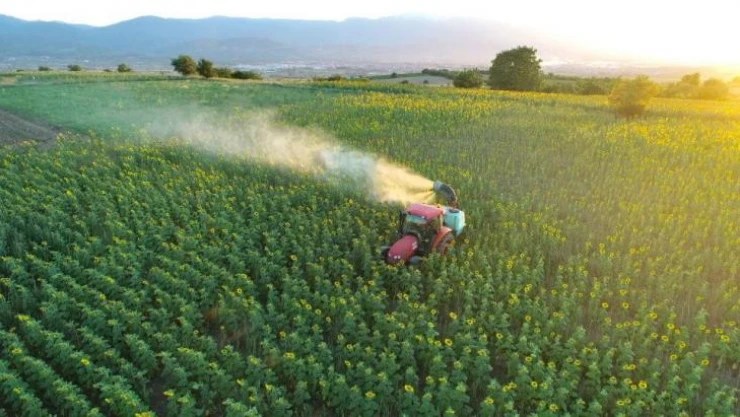 Tırtıl basan tarlalara, İnegöl Belediyesi'nden anında müdahale