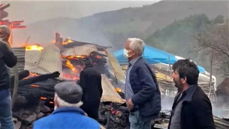 Tokat'ta ahır yangınında 3 buzağı telef oldu