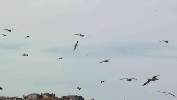 Trakya'da fırtına etkili oldu