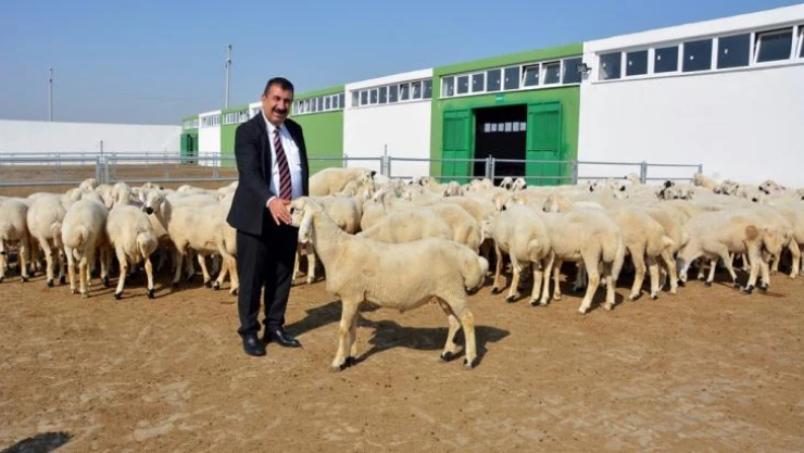 TÜDKİYEB Genel Başkanı Nihat Çelik: '3 milyonun üzerinde küçükbaş hayvan kurban edildi'