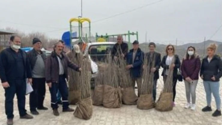 Tunceli'de 14 çiftçiye bedelsiz dut fidanı dağıtıldı