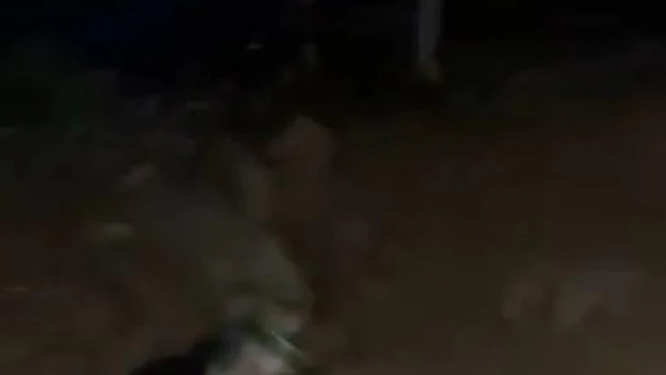 Tunceli'de terör örgütüne ait sığınakta çok sayıda malzeme ele geçirildi