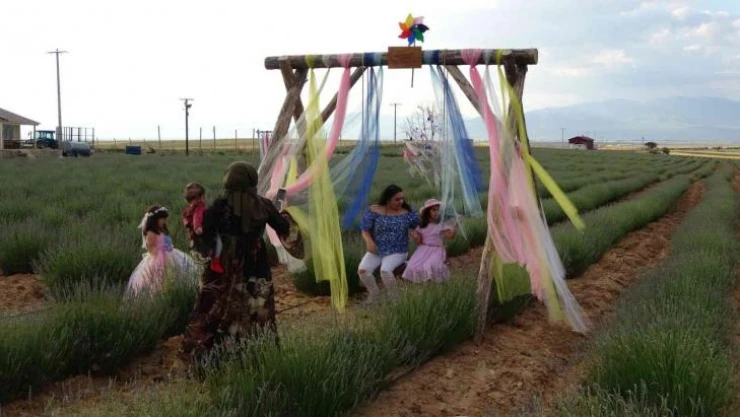 Türkiye'nin üçüncü büyük lavanta bahçesi Niğde'de
