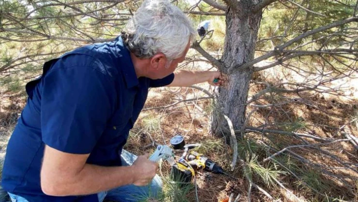 Tuz Gölü havzasında ayakta kalacak ağaç türleri belirlenecek