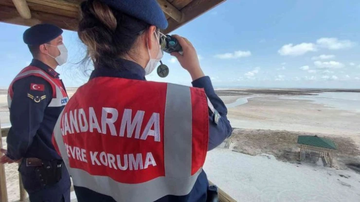 Tuz Gölü'nde Flamingo ölümlerine jandarma önlemi