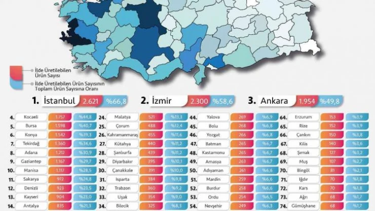 Üretim kapasitesi çeşitliliğinde lider iller belirlendi