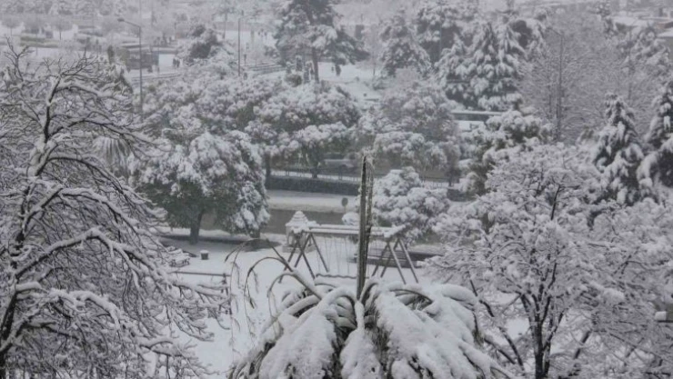 Vali Dağlı: 'Samsun'da kar yağışında olumsuz bir durumla karşılaşılmadı'
