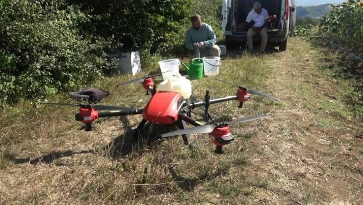 Yalova'da çayır tırtılı ile dronlu mücadele