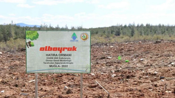 Yanan ormanların yerine fidanlar toprakla buluştu