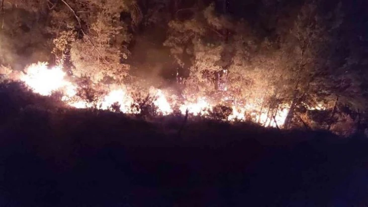 Marmaris'te yangına 576 personel, 148 arazöz, 53 iş makinesi müdahale ediyor