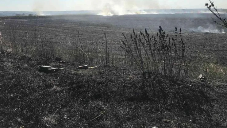 Yangında 30 dekar alan kül oldu