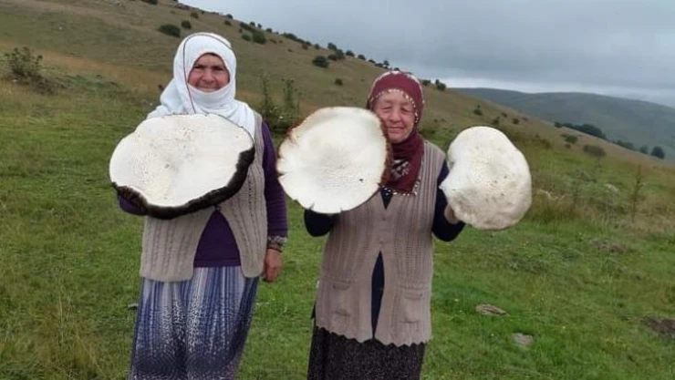 Yaylada gezerken buldu, görenler gözlerine inanamadı