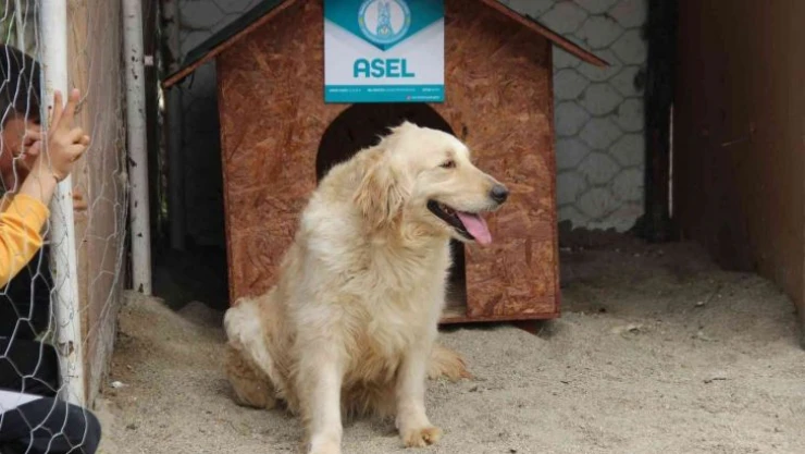 Yıllarca TSK'da vatan için çalıştı emeklilik keyfini çocuklarla yaşayacak