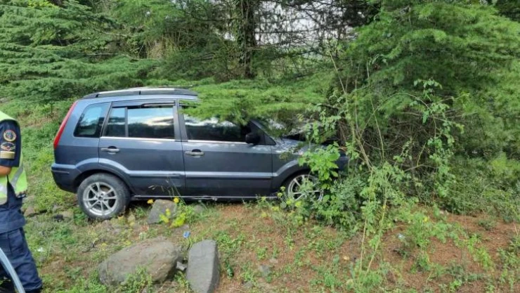 Yoldan çıkan otomobil ağaca çarpttı: 2'si çocuk 7 yaralı